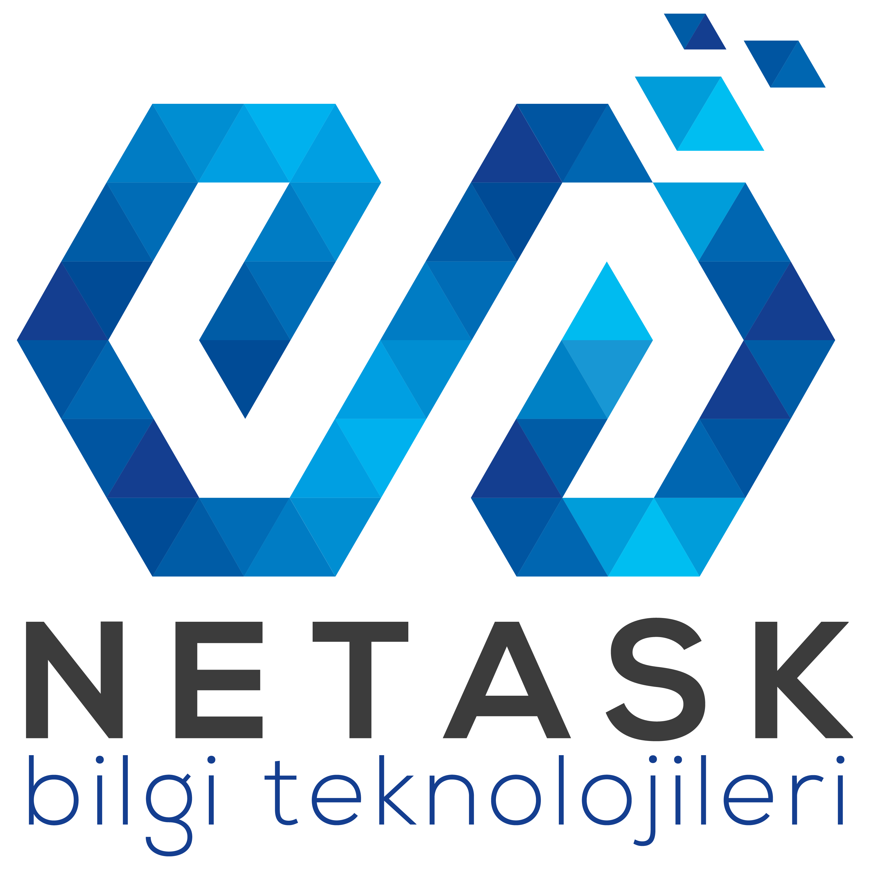 Netask Bilgi Teknolojileri